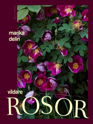 cover image of Vildare rosor